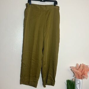 J. Jill Pure Elements Green Pull On Pants Trousers LP NWT